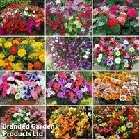 Garden Ready Bumper Collection