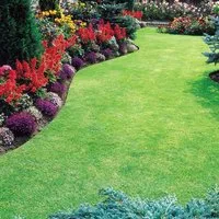 Dobies Premium Lawn Seed