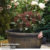 Wooden Barrel Effect Planter ? Large