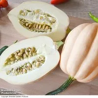 Squash 'Mashed & Baked Potatoes' (Winter) - Seeds