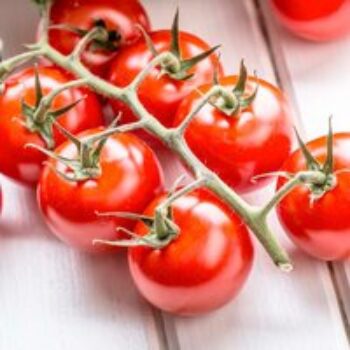 Tomato 'Crimson Cherry' (Grafted)