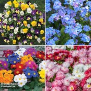 Early Spring Bedding Collection