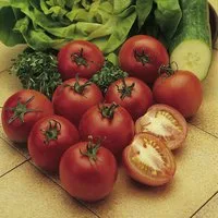 Tomato 'Alicante' (Indeterminate) - Seeds