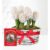 Winter Hyacinth Basket with Card