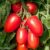 Tomato ‘Crimson Plum’ (Grafted)