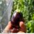 Aubergine ‘Baby Black Jack’