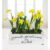 Grande Daffodils – Free Chocs